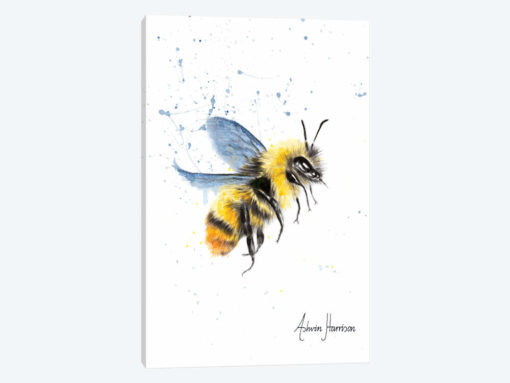Sun Bee
