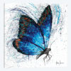 Lone Shy Butterfly