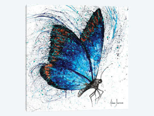Lone Shy Butterfly