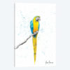 Mischievous Macaw