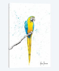 Mischievous Macaw