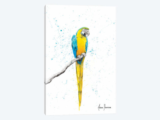 Mischievous Macaw