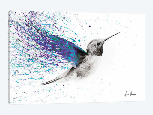 Hummingbird Garden