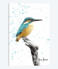 The Knowing Kingfisher