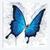 Tropics of Blue Butterfly