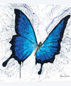 Tropics of Blue Butterfly