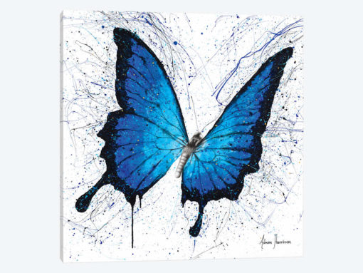 Tropics of Blue Butterfly