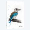 One Clever Kookaburra