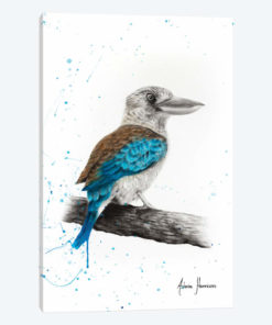 One Clever Kookaburra