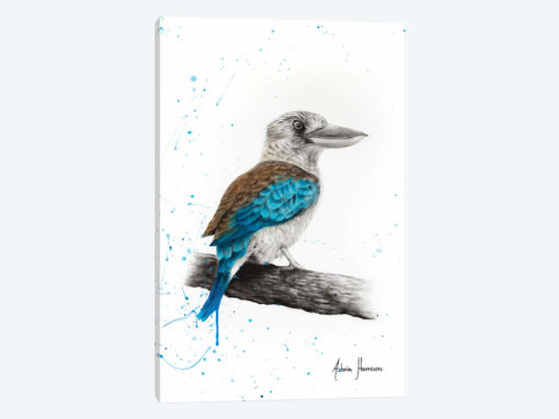 One Clever Kookaburra