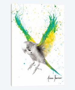 The Bold Budgie