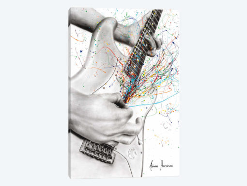 The Guitar Solo