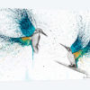Kingfisher Memories