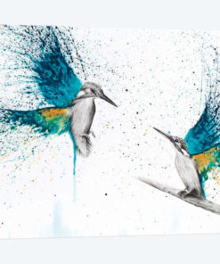 Kingfisher Memories