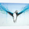 Kingfisher Rise