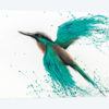 Kingfisher Tropics