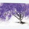 Meet You At The Jacaranda