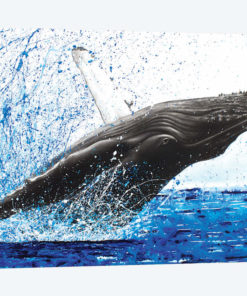Moreton Whale Dance