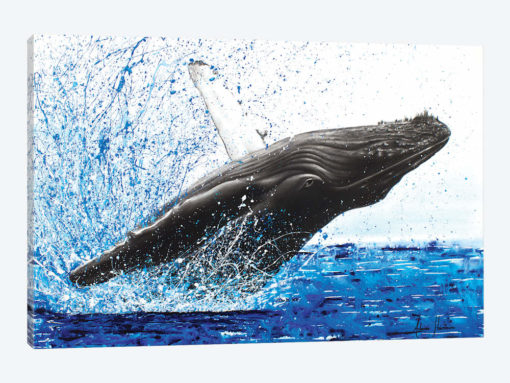 Moreton Whale Dance
