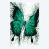 Night Garden Butterfly