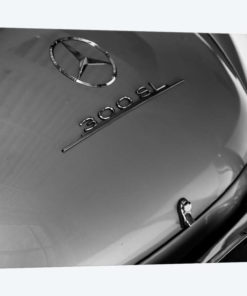 Car Lovers I