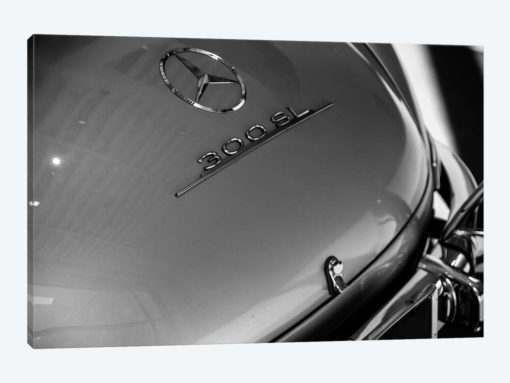Car Lovers I