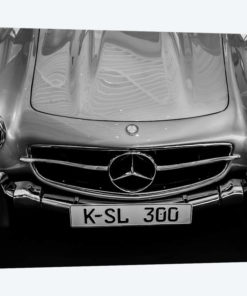 Car Lovers V