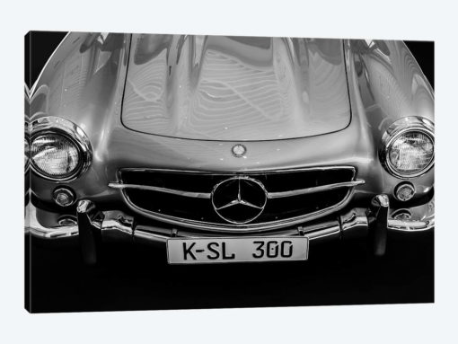 Car Lovers V
