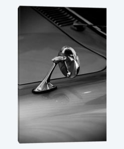 Car Lovers VI