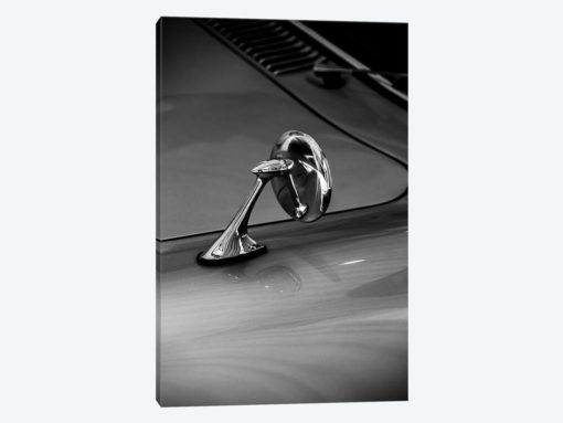 Car Lovers VI