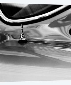 Car Lovers VII