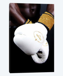 Prada Boxing