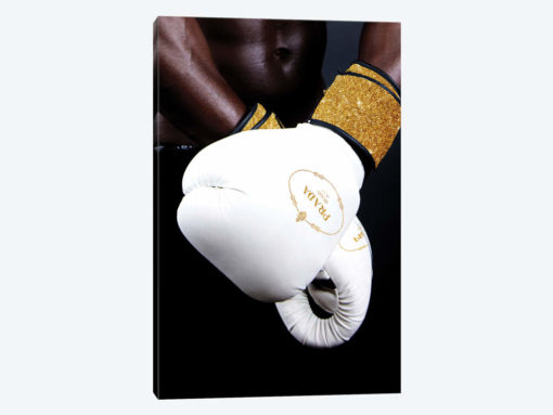 Prada Boxing