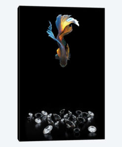 Fancy Fishing IV
