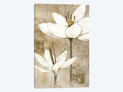 Pencil Floral I
