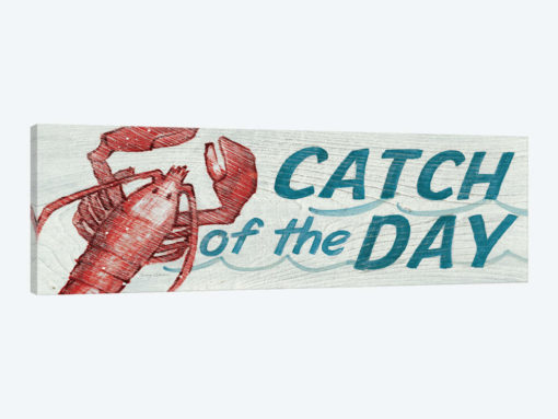 Catch of the Day in Color