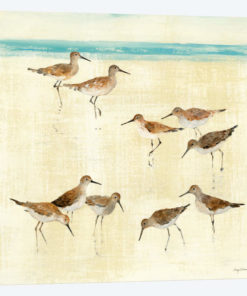 Sandpipers