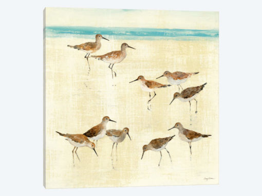 Sandpipers