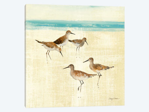 Sand Pipers Square I