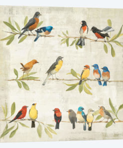 Adoration of the Magpie Music