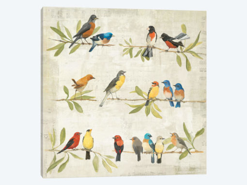 Adoration of the Magpie Music