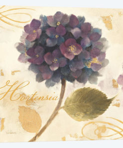 Abundant Hydrangea I