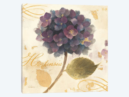 Abundant Hydrangea I