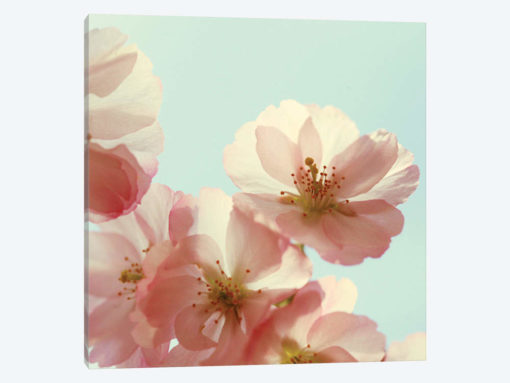 Palette