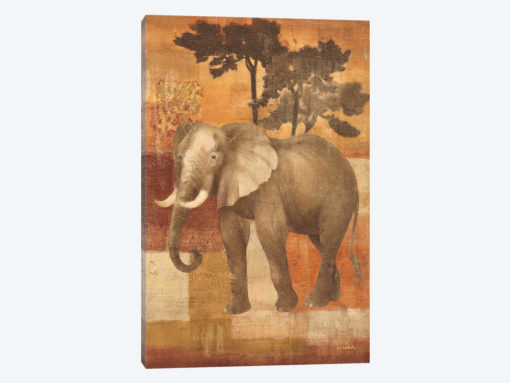 Animals on Safari IV