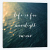 Moonlight Swims