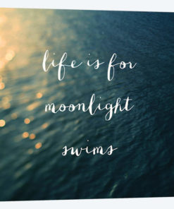 Moonlight Swims