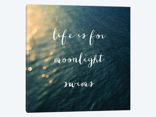Moonlight Swims