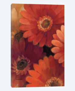 Garden of Gerberas II