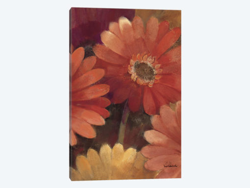 Garden of Gerberas III